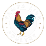 cropped-cropped-Tampa-live-poultry-logo-transparent.png
